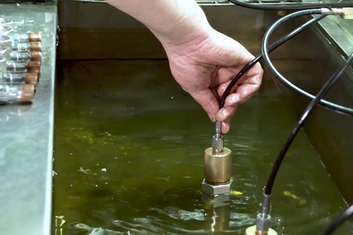 page-496-372 page-496-372